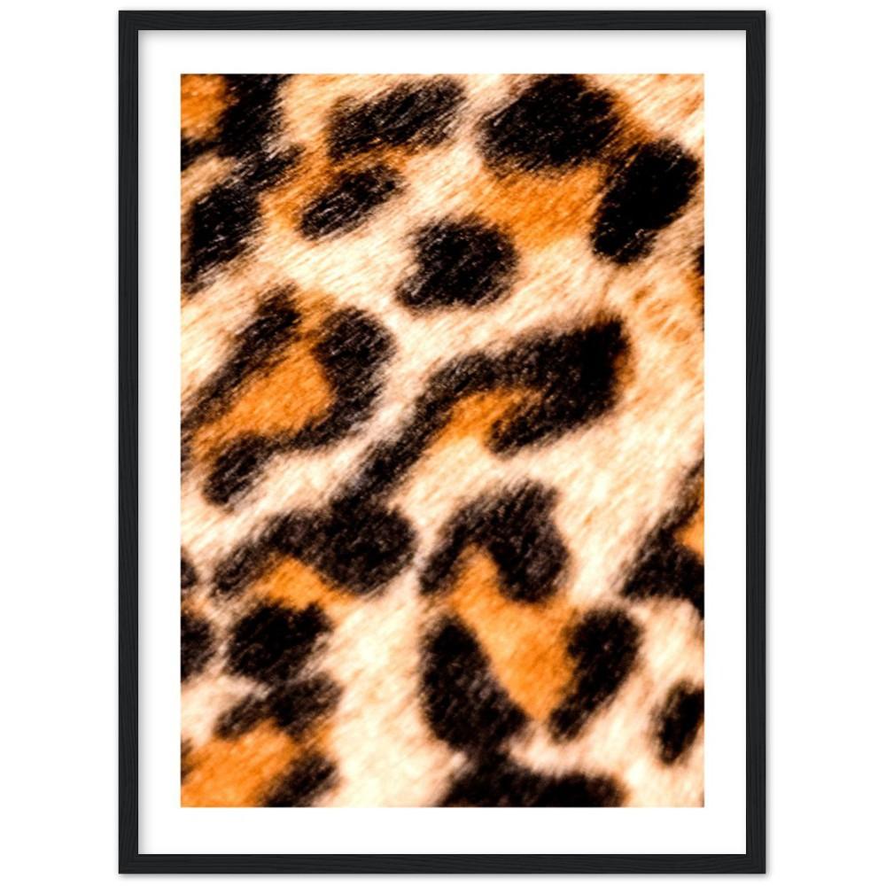 A Leopard's Spots Framed Art Print
