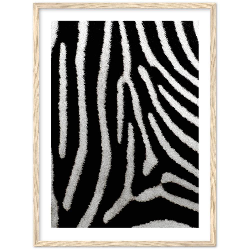 Zebra's Maze Framed Art Print