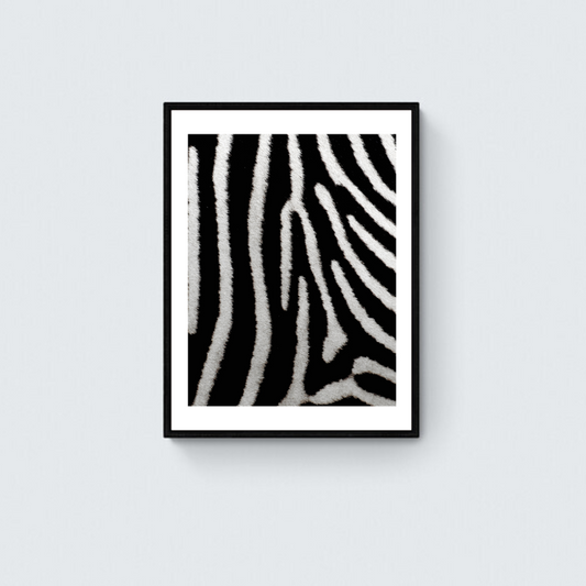 Zebra's Maze Framed Art Print