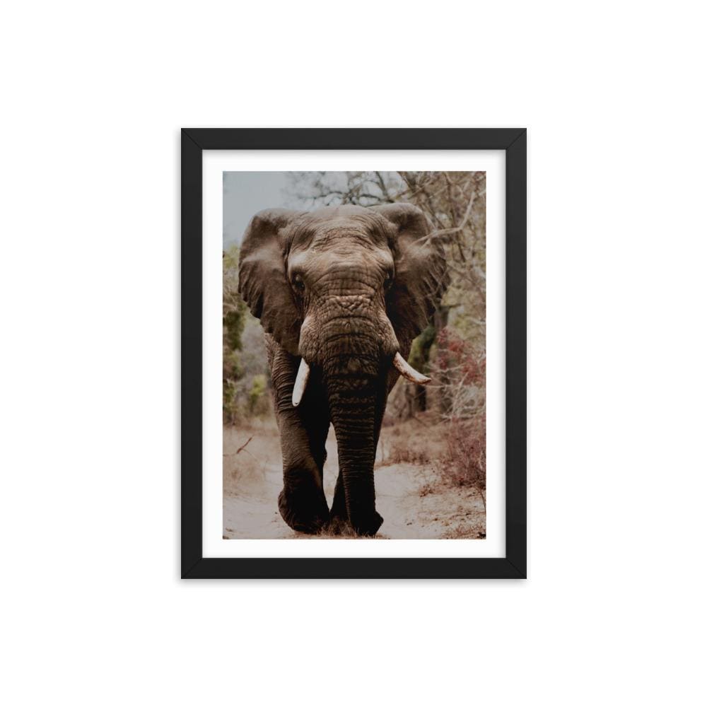Elephant Knowledge Framed Art Print